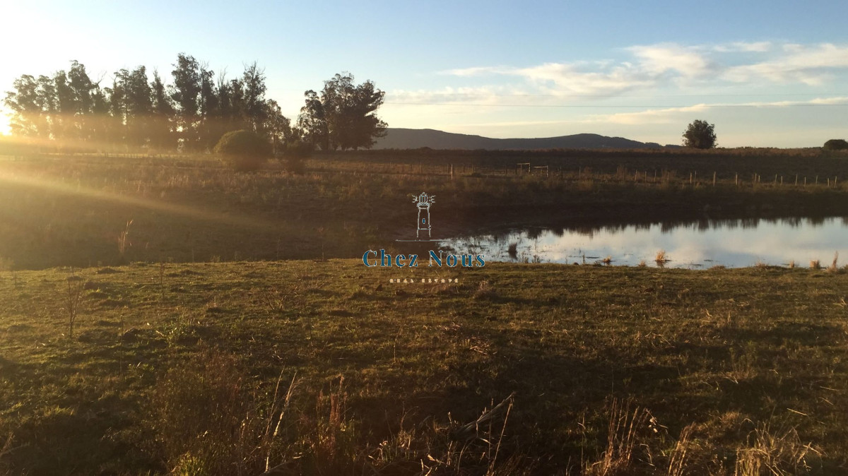 Terreno ID.1189 - Chacra 5 Hectáreas, Tajamar y Vegetación, Ruta 12