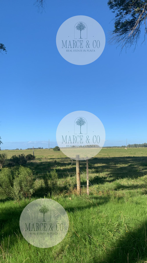 Terreno ID.1188 - Venta Terreno En Eden Rock, San Carlos, Maldonado