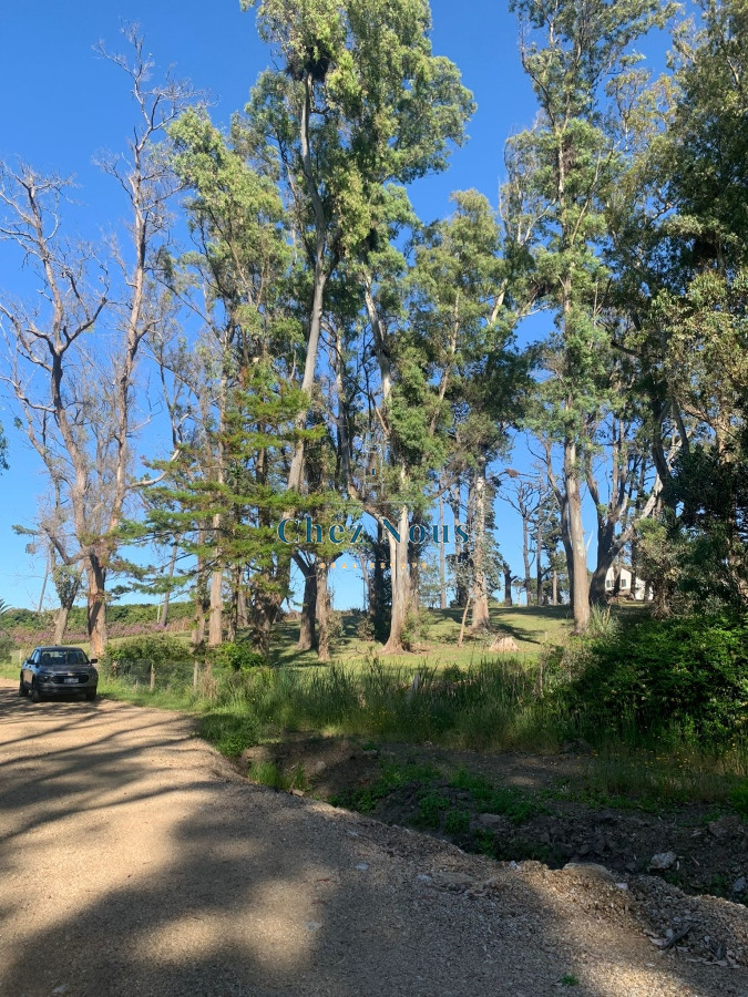 Terreno ID.1187 - Terrenos En Solís, Maldonado, a 50mts de la playa!