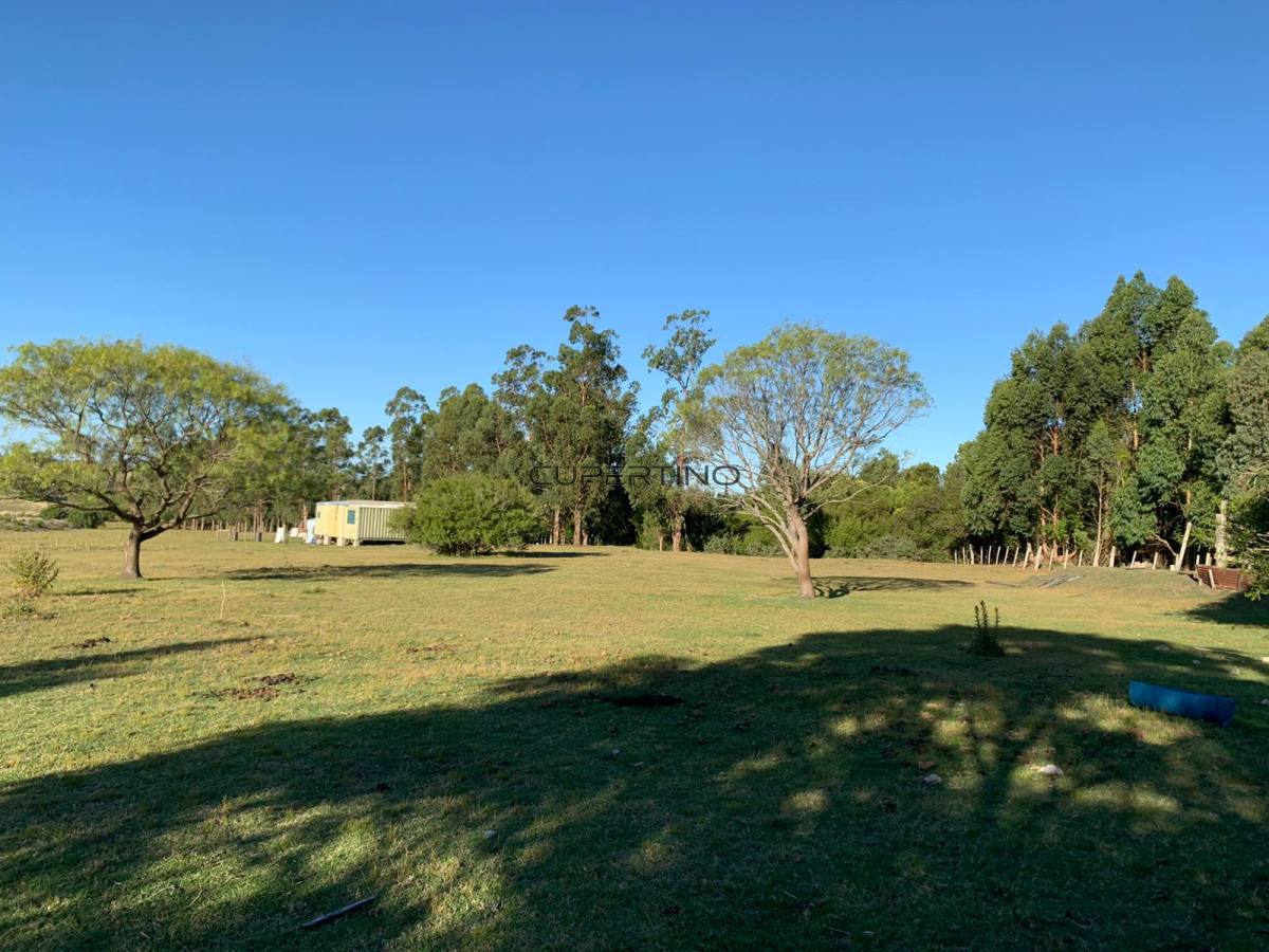 OPORTUNIDAD: Preciosa Chacra Con Casa sobre Ruta 39, San Carlos, Maldonado — foto 3