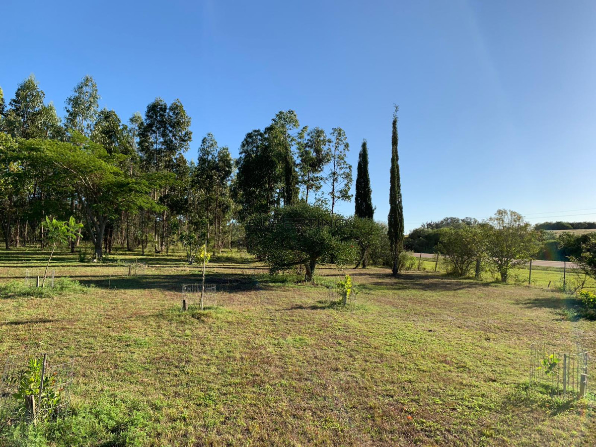 OPORTUNIDAD: Preciosa Chacra Con Casa sobre Ruta 39, San Carlos, Maldonado — foto 6