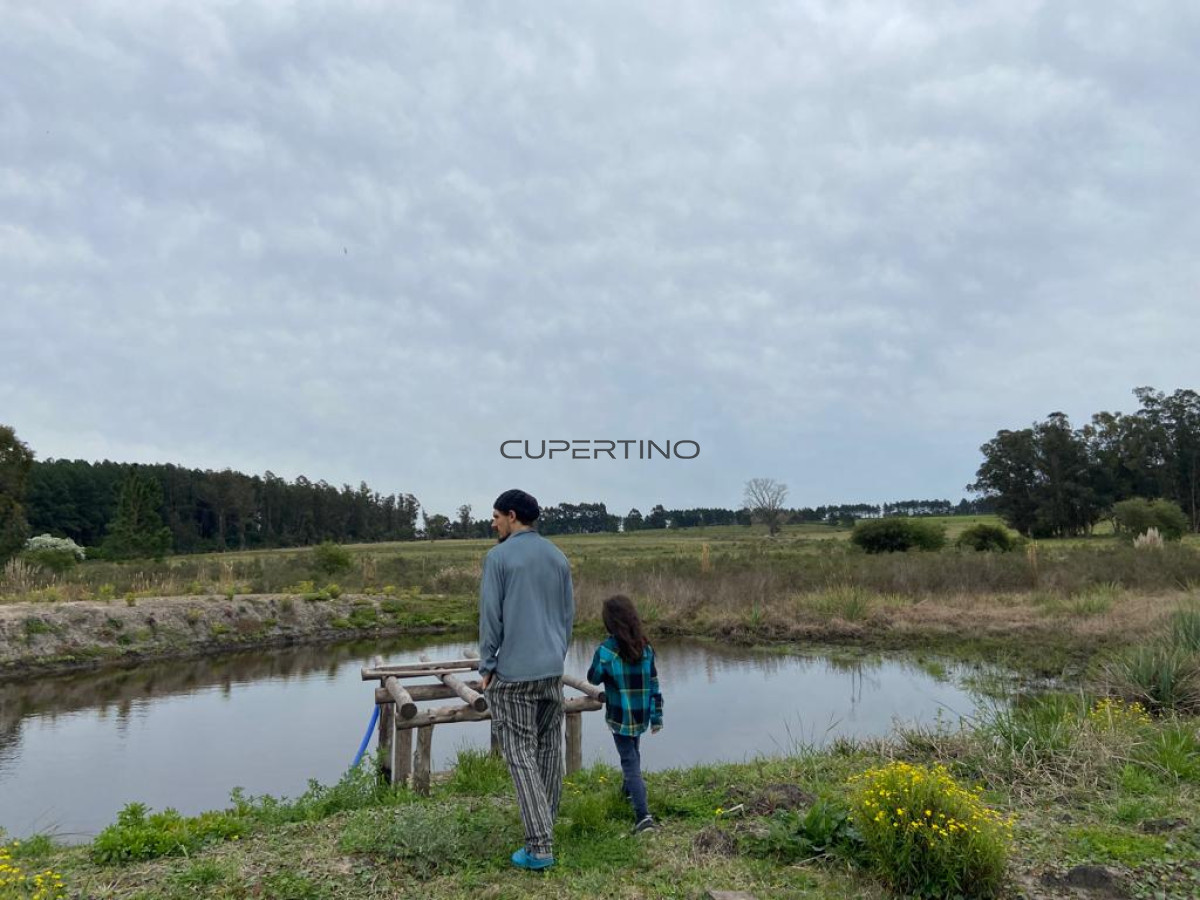 Chacra 5 Há Próxima A Camino Eguzquiza — foto 15