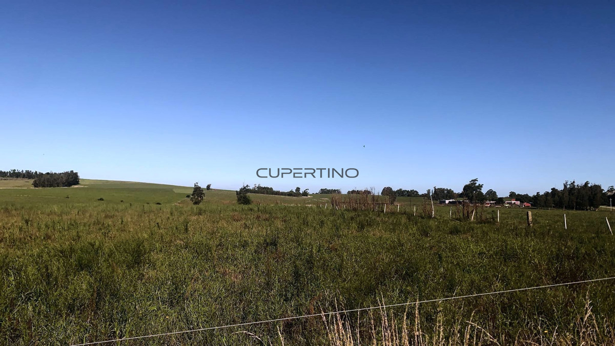 Campo Ref.250 - 5 hectáreas en Ruta 104