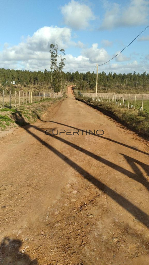 Chacra 5 Há Próxima A Camino Eguzquiza — foto 12