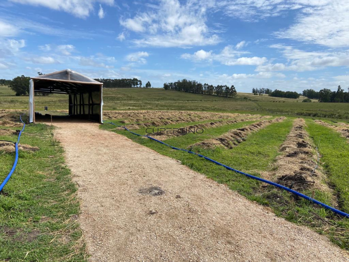 Chacra 5 Há Próxima A Camino Eguzquiza — foto 14
