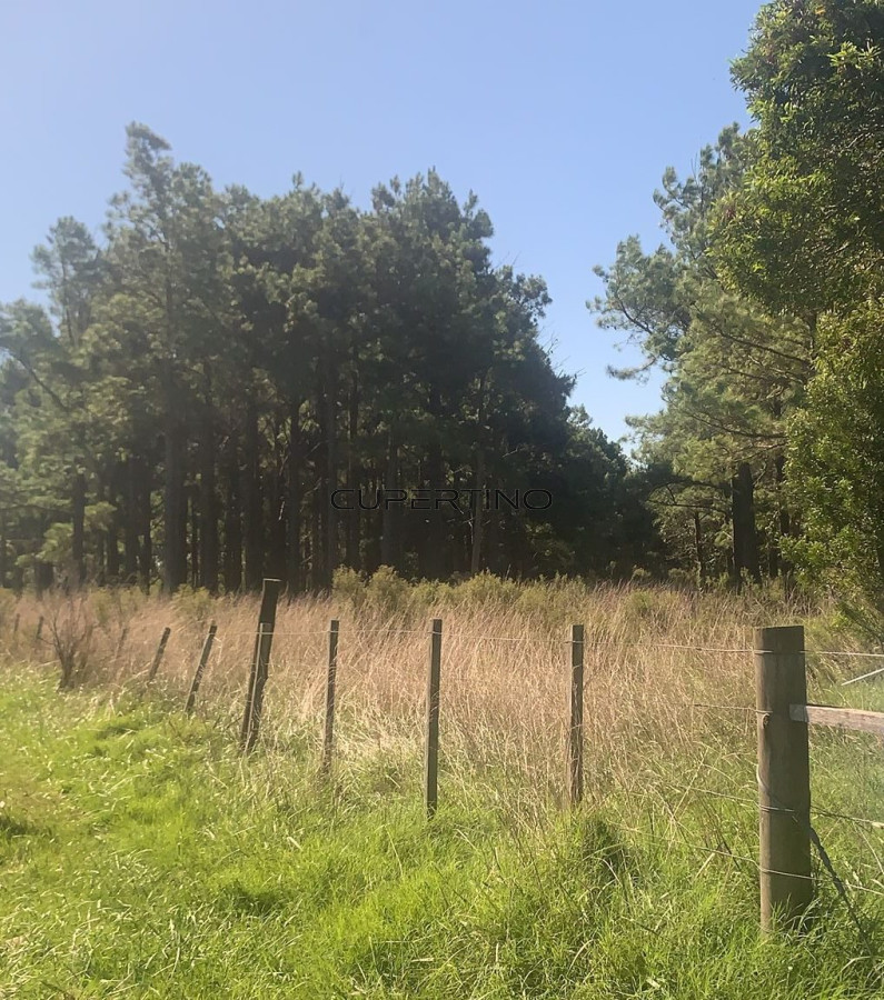Campo Ref.250 - 5 hectáreas en Ruta 104
