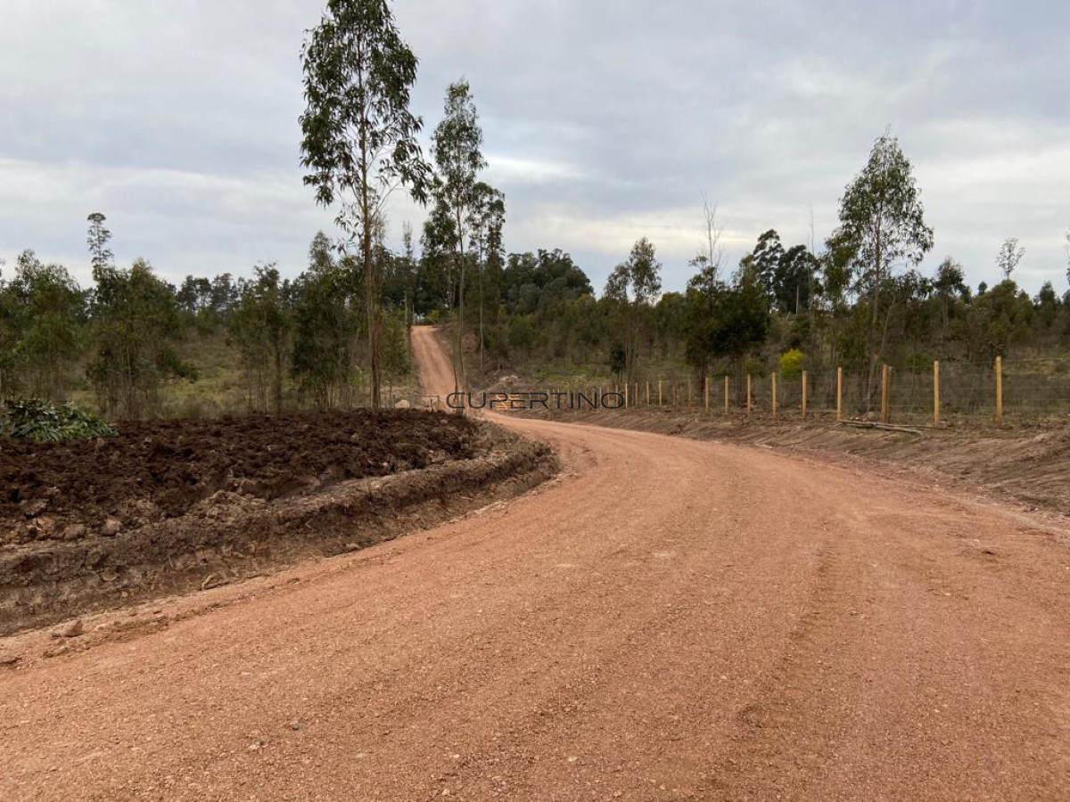 Chacra 5 Há Próxima A Camino Eguzquiza — foto 13