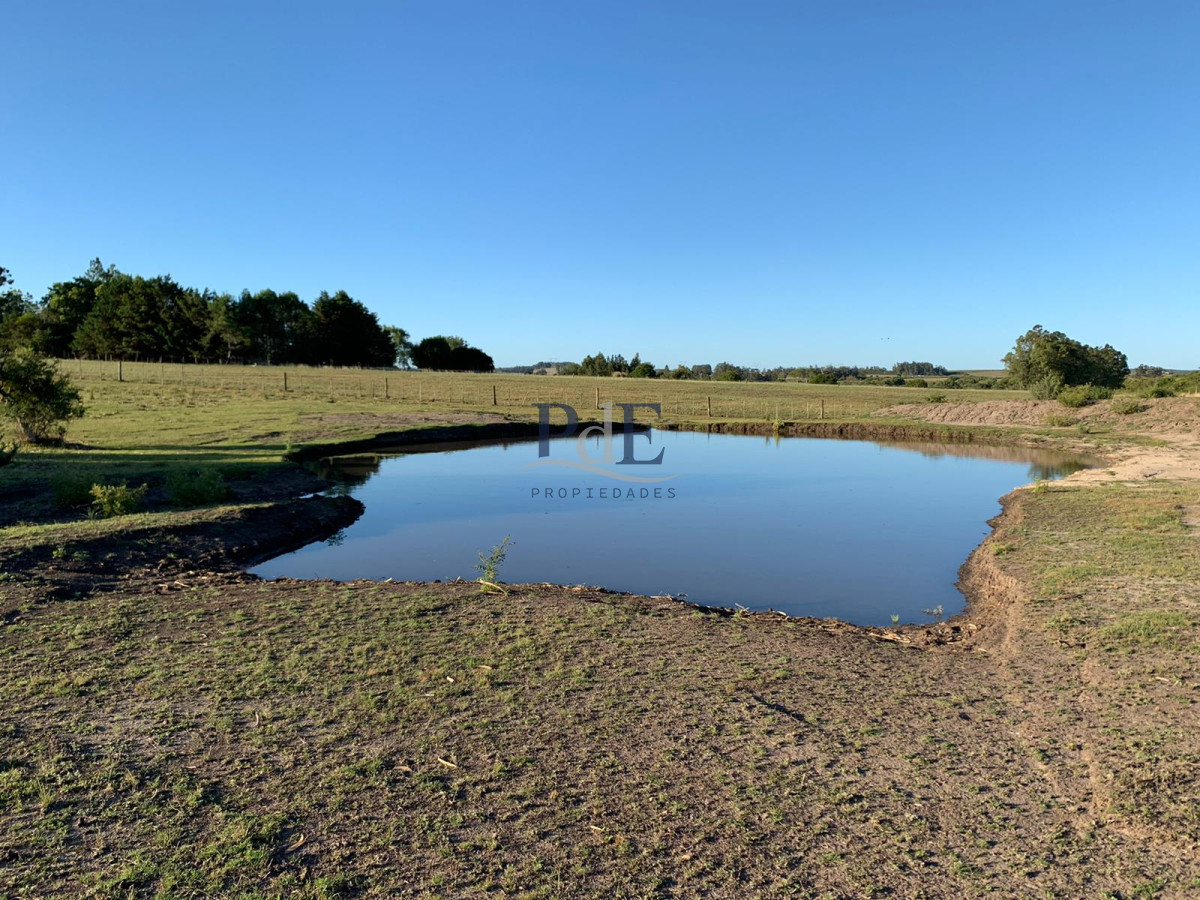 Chacra en Venta. Ruta 39, San Carlos | 5 Hectáreas - Imagen 7