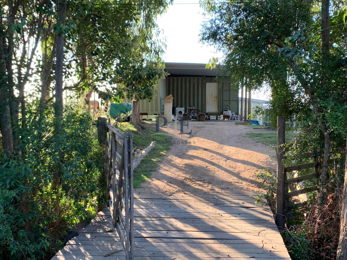 Chacra en Venta. Ruta 39, San Carlos | 5 Hectáreas - Imagen 22