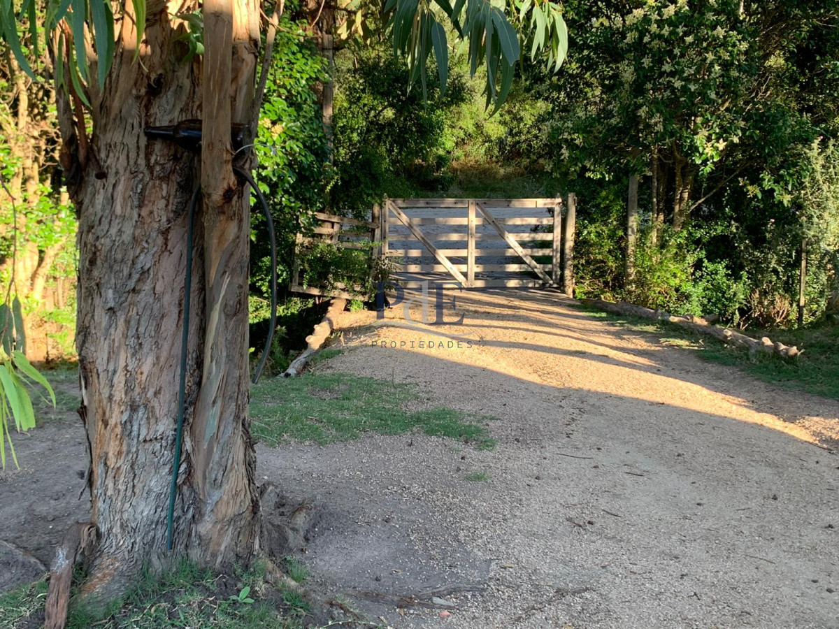 Chacra en Venta. Ruta 39, San Carlos | 5 Hectáreas - Imagen 30