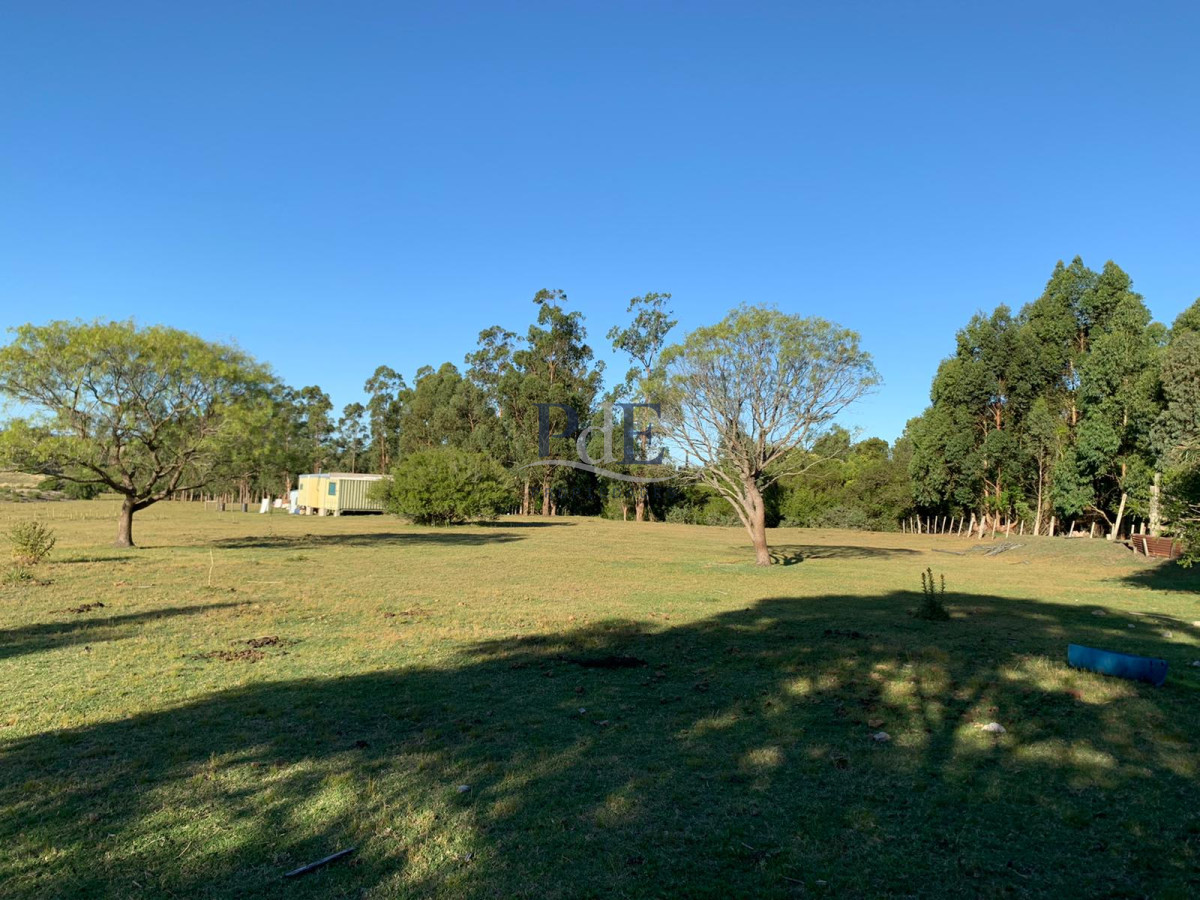 Chacra en Venta. Ruta 39, San Carlos | 5 Hectáreas - Imagen 2