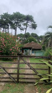 En Venta San Rafael, PDE Quincho Oficinas y Terreno Sobre Av Del Mar