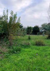 Gran Terreno en Maldonado, importante frente en Blvr. Artigas