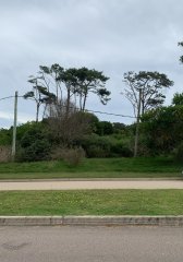 Terreno En Montoya, La Barra