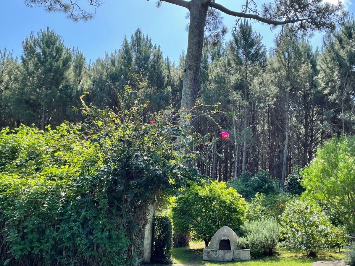 Solanas - GoPunta - Portal Inmobiliario de Punta del Este - Maldonado