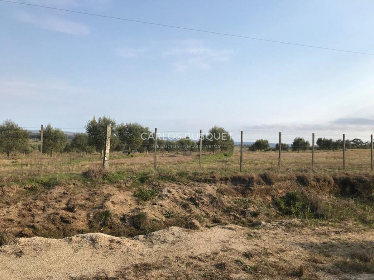 Chacra ID.1085 - Chacra en Garzón en Venta