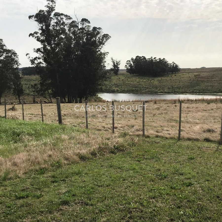 Chacra ID.1085 - Chacra en Garzón en Venta