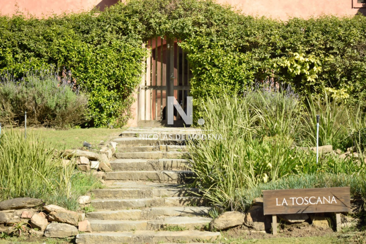 Montoya - GoPunta - Portal Inmobiliario de Punta del Este - Maldonado