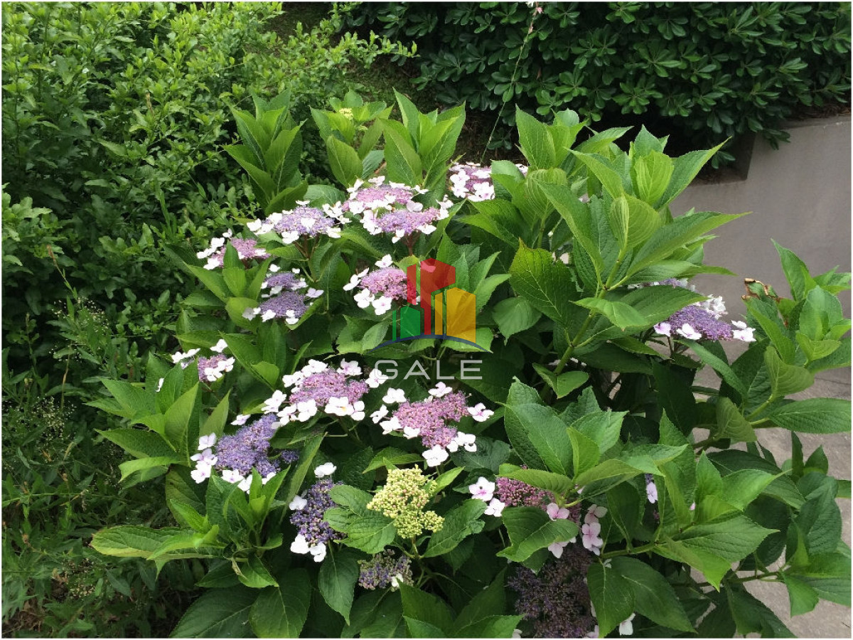 Casa ID.4537 - Casa en Venta y Alquiler, Laguna Blanca, La Barra, 4 Dormitorios.