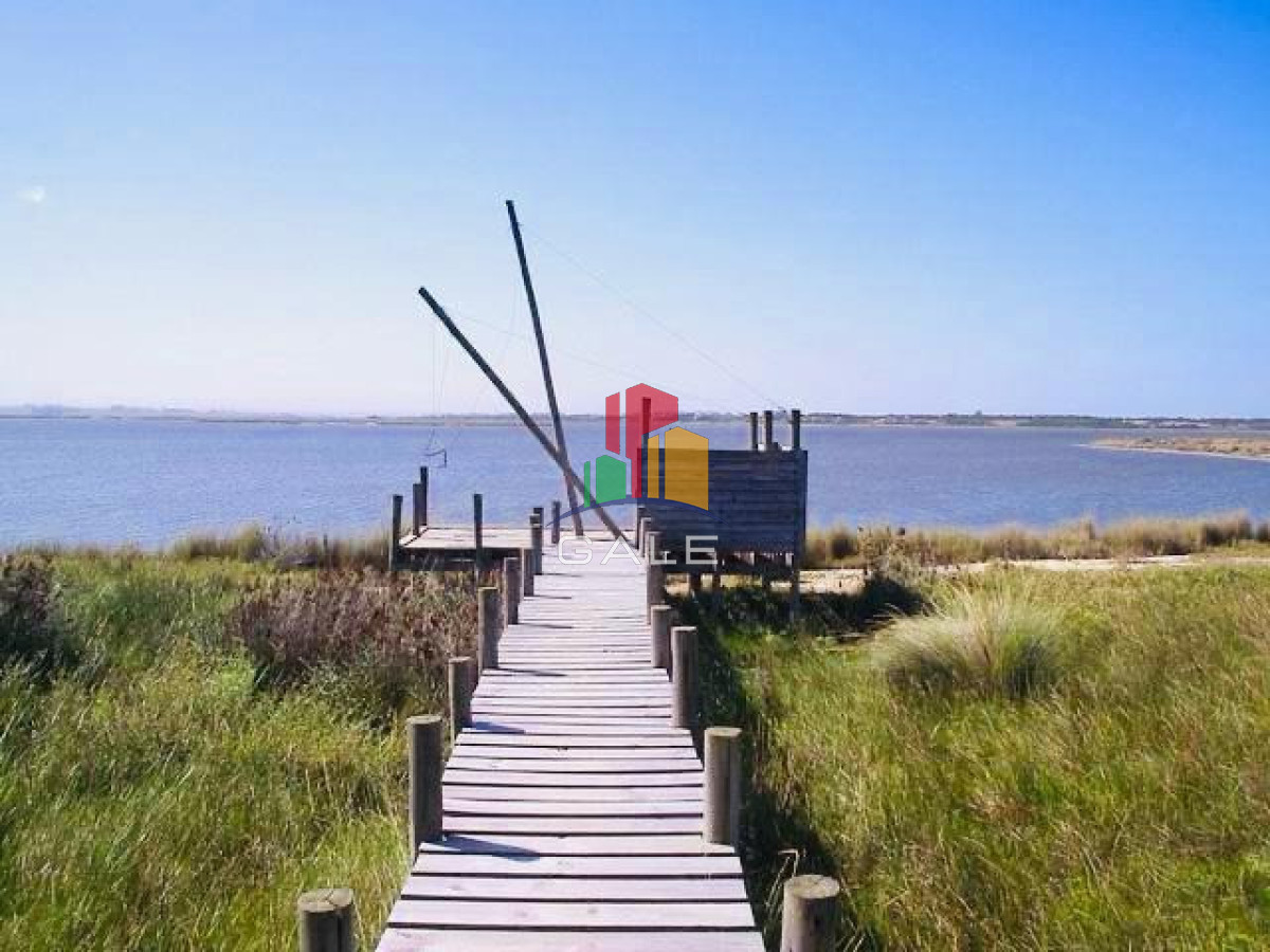 Casa ID.4539 - Casa en Alquiler, Santa Monica, Manantiales, 4 Dormitorios.