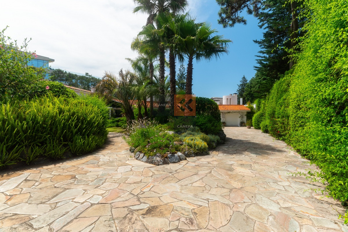 Golf - GoPunta - Portal Inmobiliario de Punta del Este - Maldonado