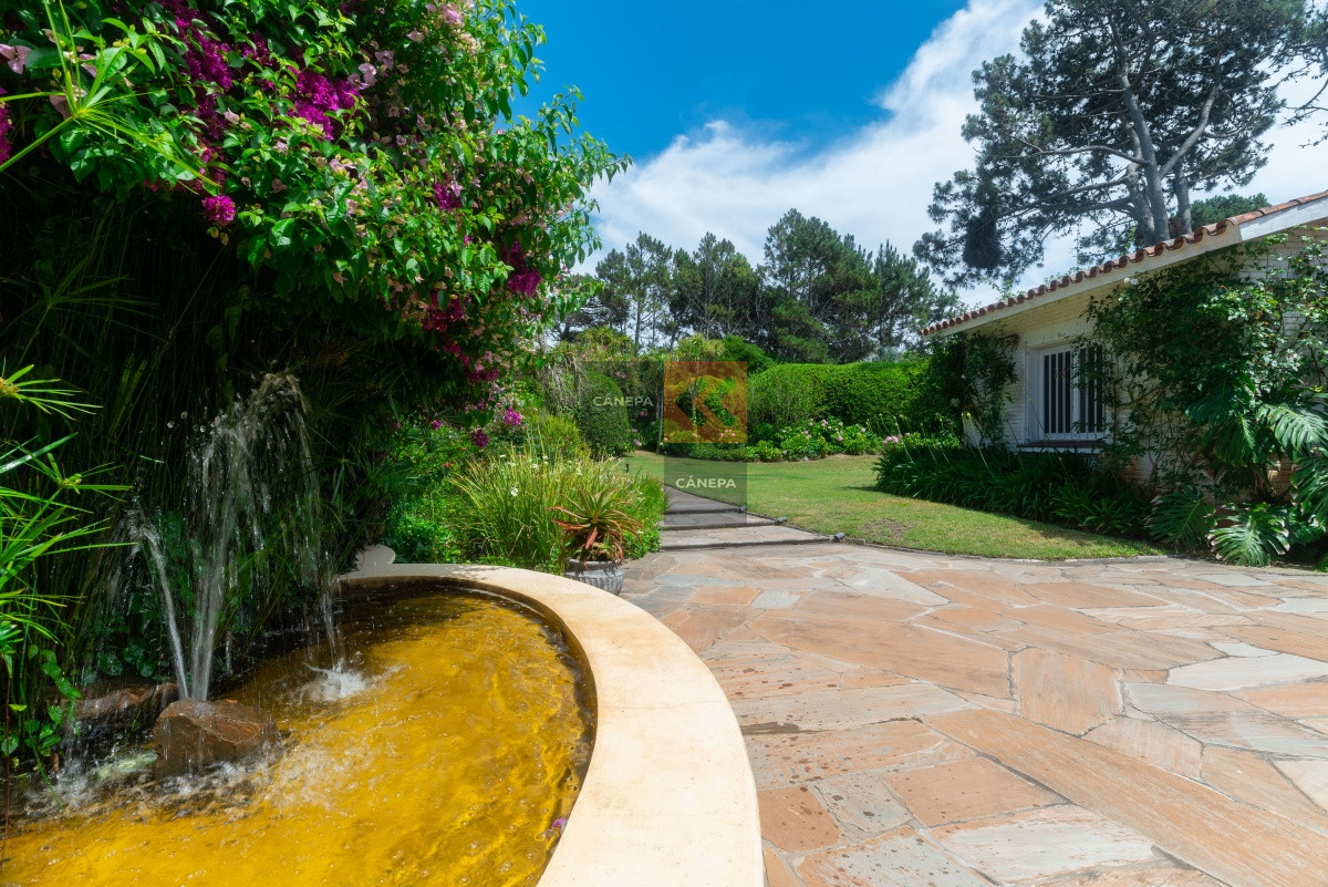 Golf - GoPunta - Portal Inmobiliario de Punta del Este - Maldonado