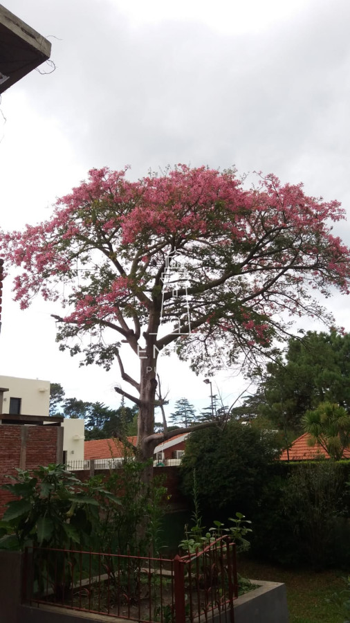 Casa ID.956 - Venta casa de 4 Dormitorios en Playa Mansa Punta del este 