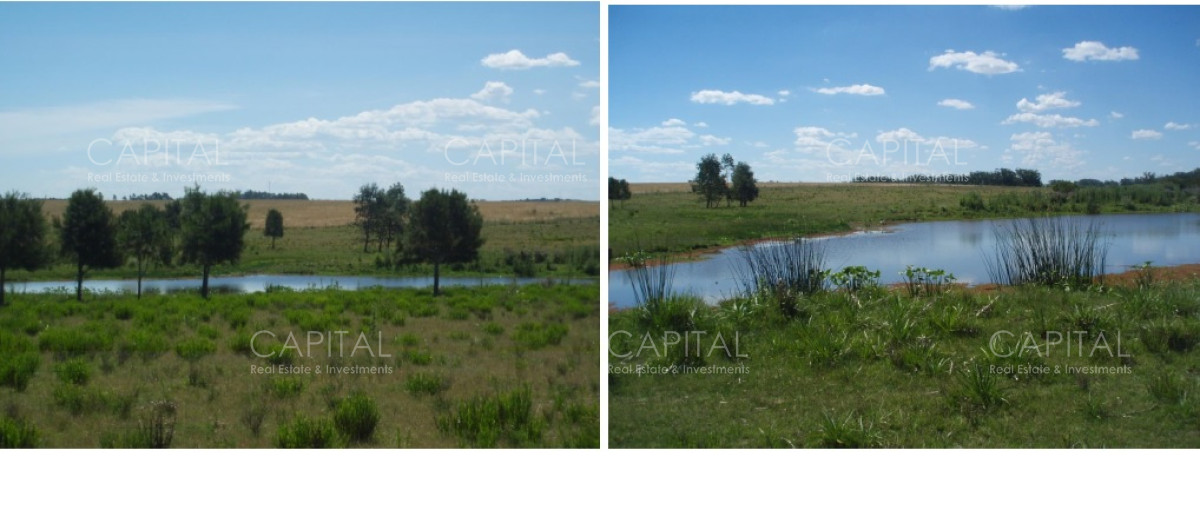 Chacra ID.39512 - Hermosas chacras en camino medellin