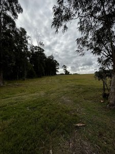 oportunidad de terreno en las garzas! - ccp29929t
