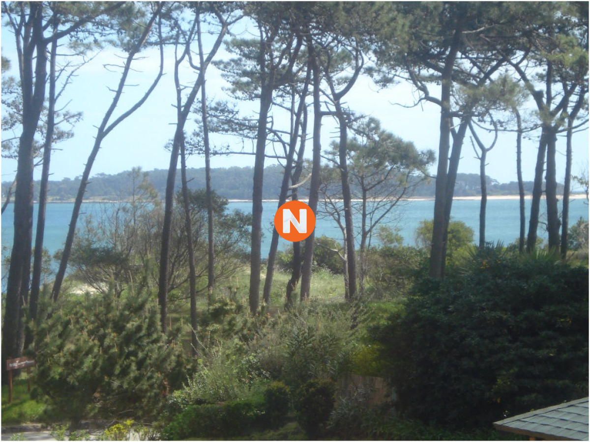 VENTA DE APARTAMENTO DE 1 DORMITORIO EN MANSA PUNTA DEL ESTE  - NLV5477A