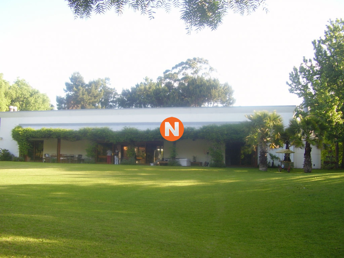Casa en Venta y Alquiler, Golf, Punta del Este, 4 Dormitorios. - NLV206514C