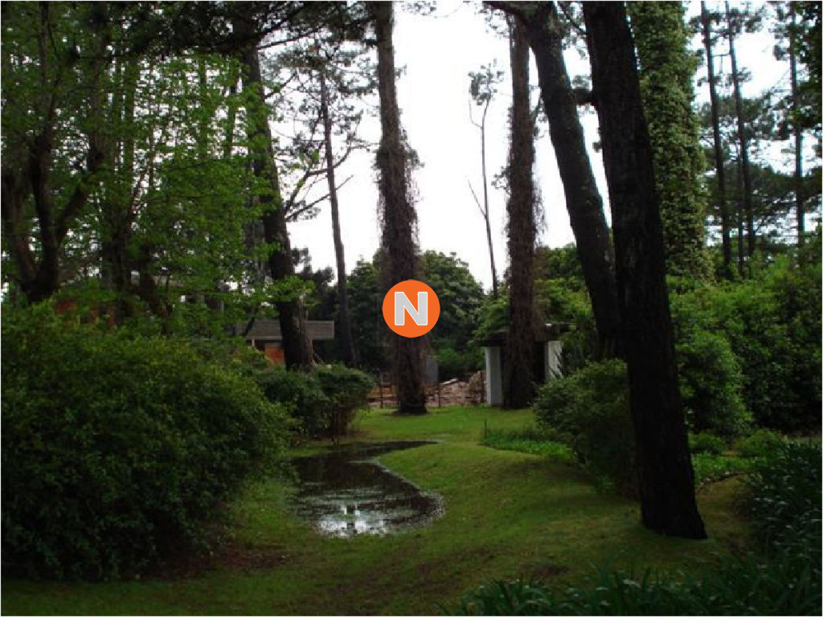Casa Ref.205610 - Hermosa Casa en Venta y Alquiler Zona  Golf, Punta del Este, 4 Dormitorios, House in sale!!!!