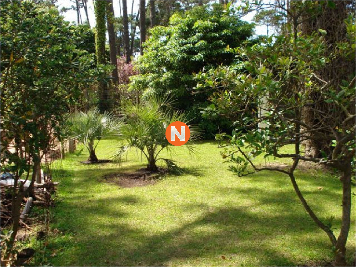 Casa Ref.205610 - Hermosa Casa en Venta y Alquiler Zona  Golf, Punta del Este, 4 Dormitorios, House in sale!!!!