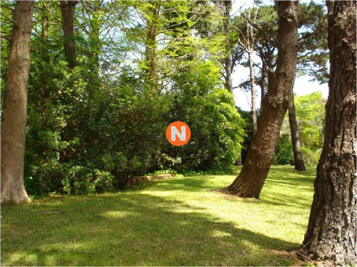 Casa Ref.205610 - Hermosa Casa en Venta y Alquiler Zona  Golf, Punta del Este, 4 Dormitorios, House in sale!!!!