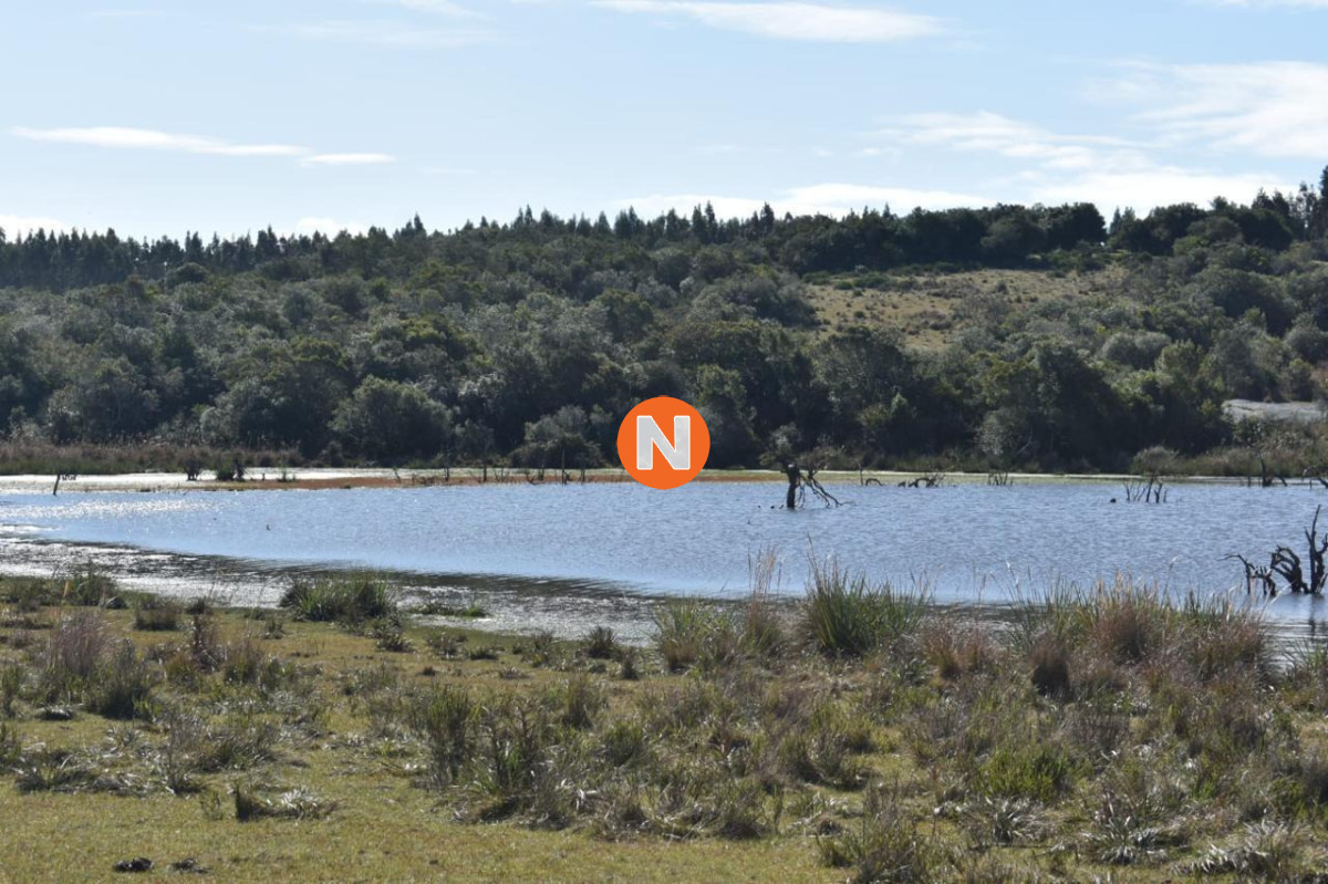 Opurtnidad única - Fraccionamiento ideal en Garzón - NLV225123H