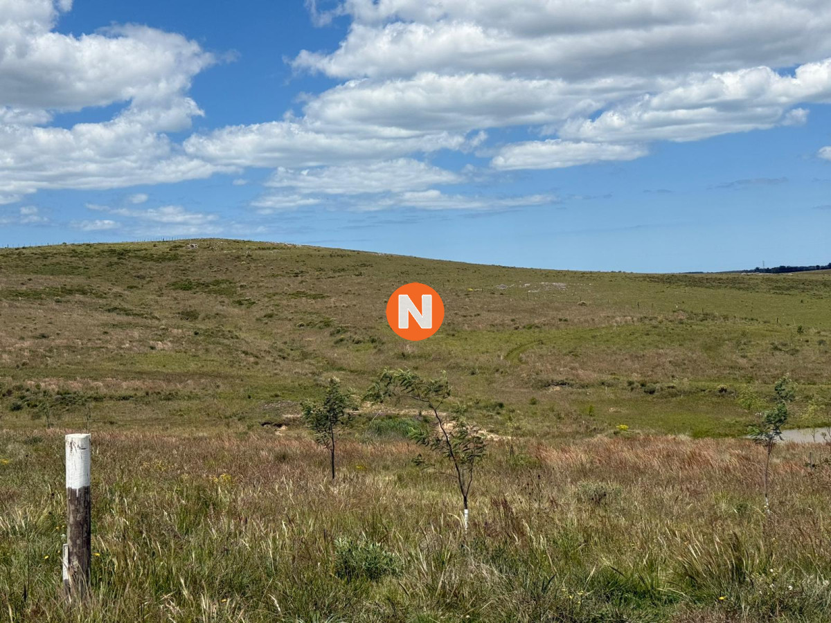 Chacra Ref.224305 - Charcas Los Cardos, Solo quedan 11 disponibles 