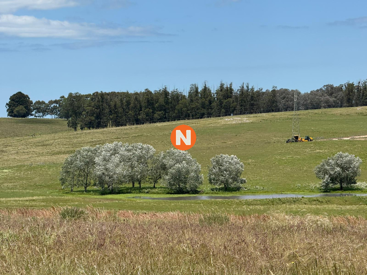 Chacra Ref.224305 - Charcas Los Cardos, Solo quedan 11 disponibles 