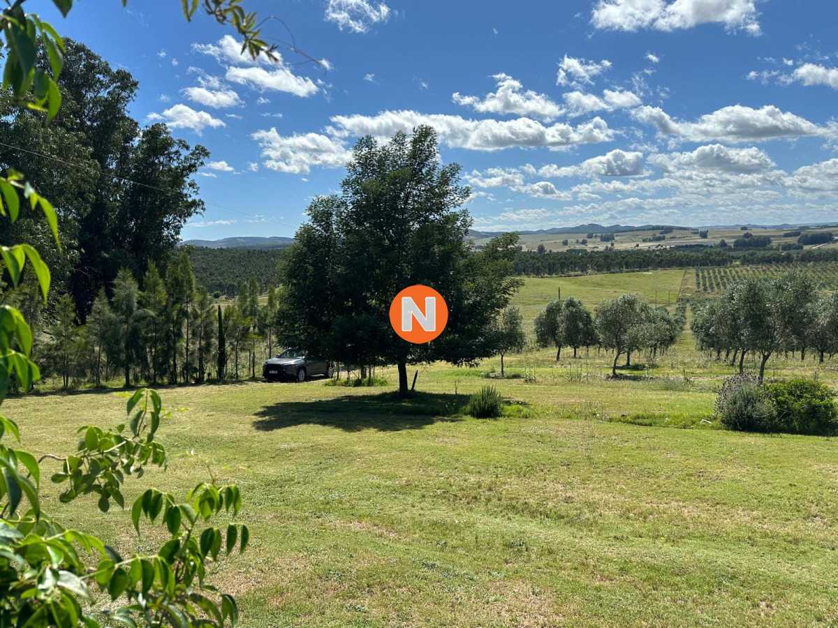 Chacra Ref.223676 - CHACRA 5 HECTAREAS SANTA LUCIA LAVALLEJA