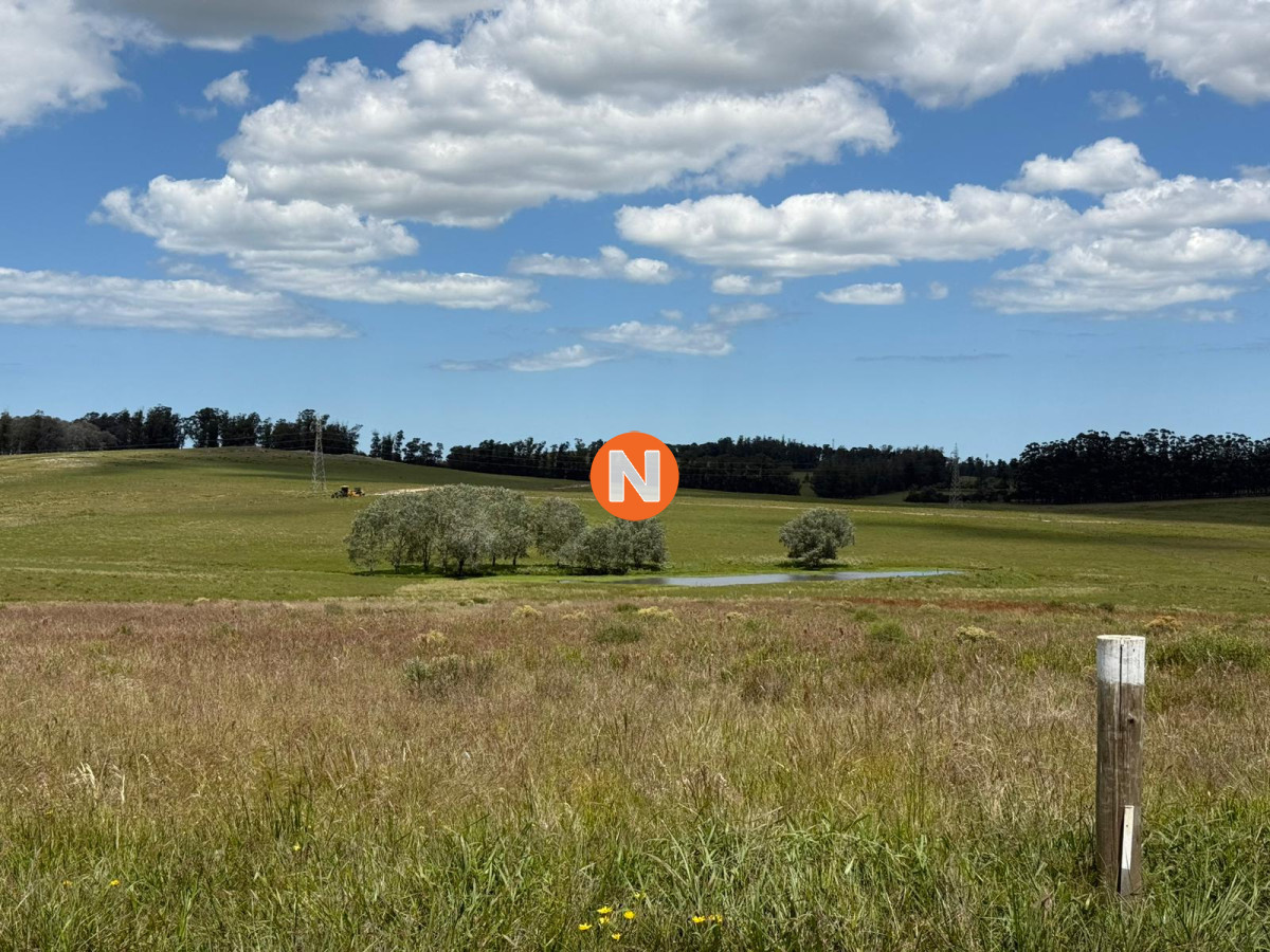 Chacra Ref.224305 - Charcas Los Cardos, Solo quedan 11 disponibles 