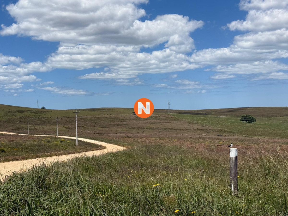 Chacra Ref.224305 - Charcas Los Cardos, Solo quedan 11 disponibles 