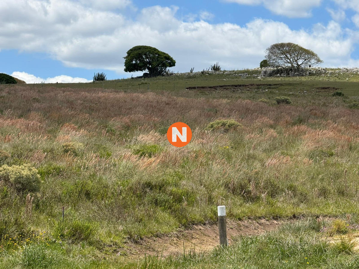 Chacra Ref.224305 - Charcas Los Cardos, Solo quedan 11 disponibles 