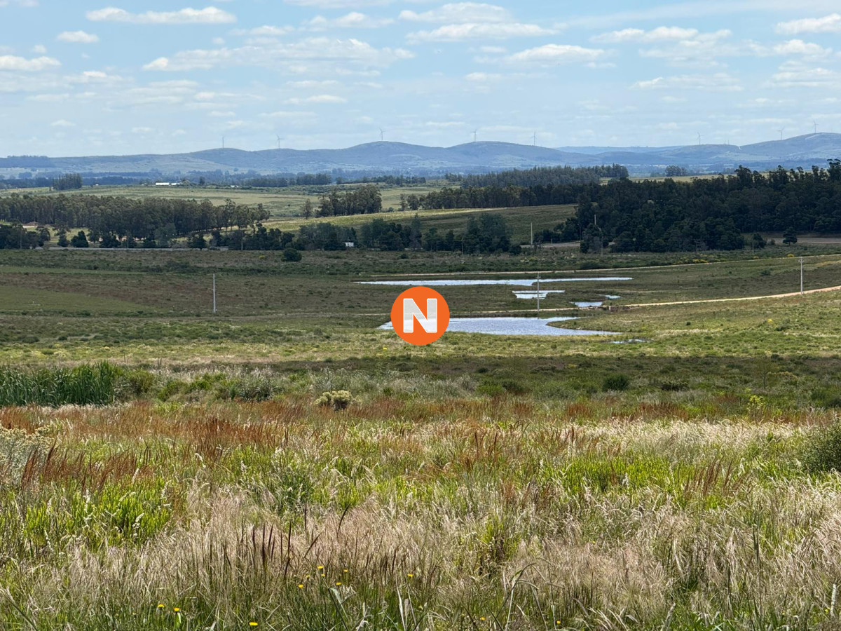 Chacra Ref.224305 - Charcas Los Cardos, Solo quedan 11 disponibles 