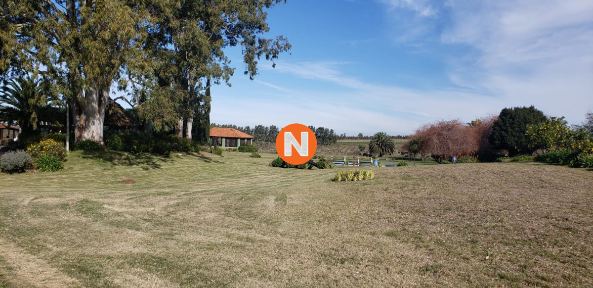 Chacra Ref.215347 - Chacra en San Jacinto - Canelones