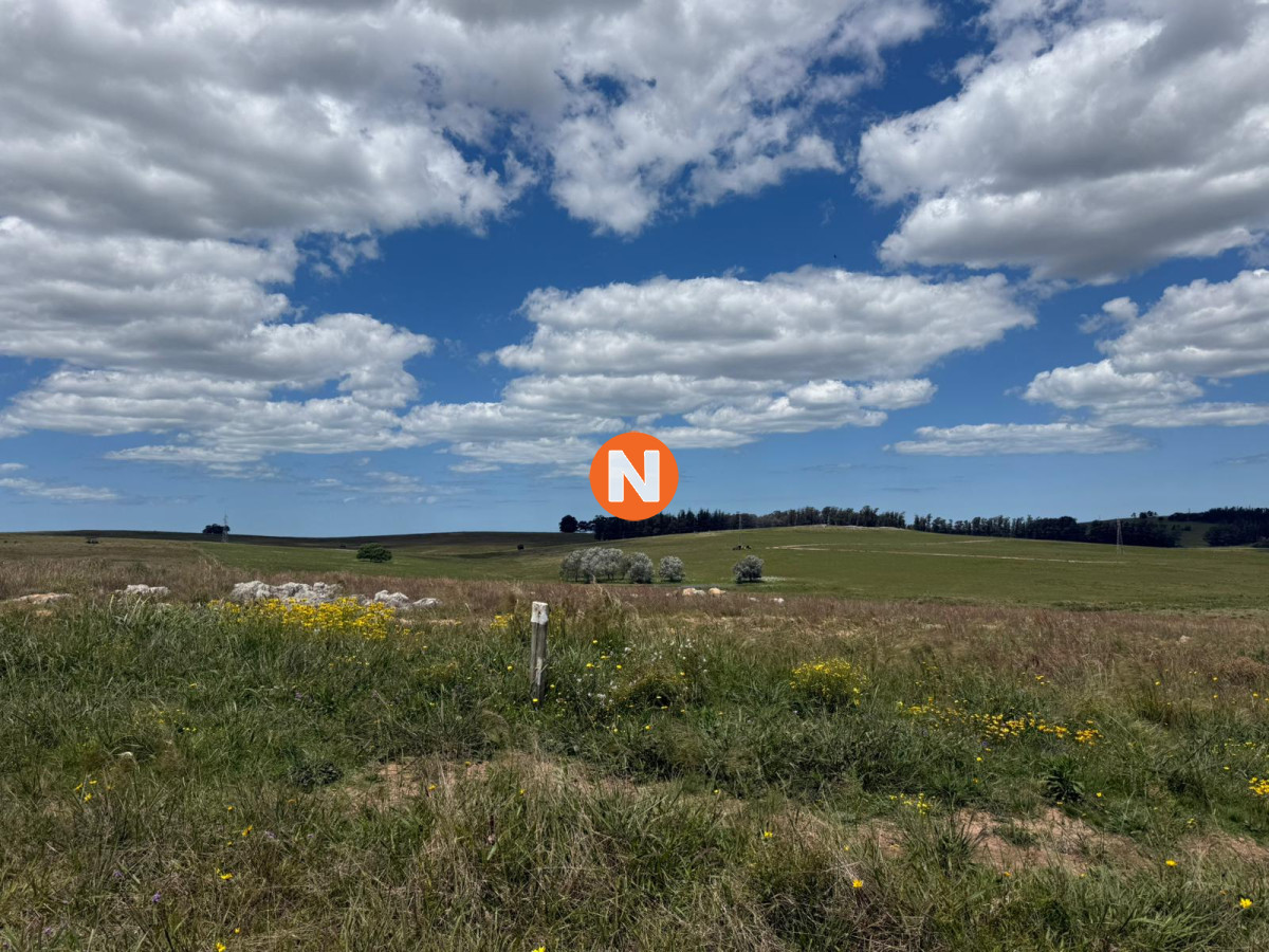 Chacra Ref.224305 - Charcas Los Cardos, Solo quedan 11 disponibles 