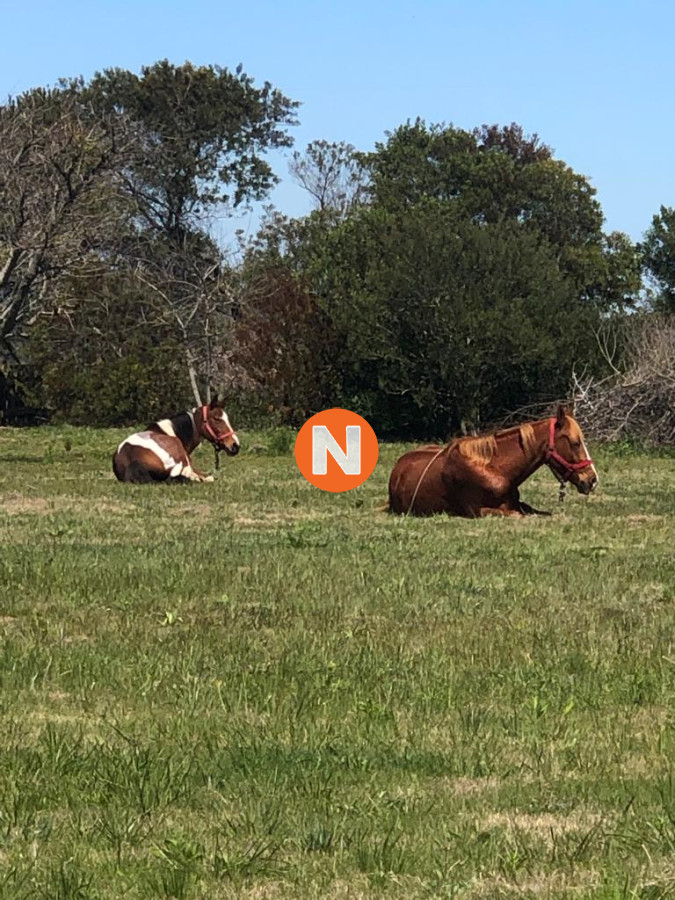 Chacra Ref.212199 - Chacra 16 has en José Ignacio