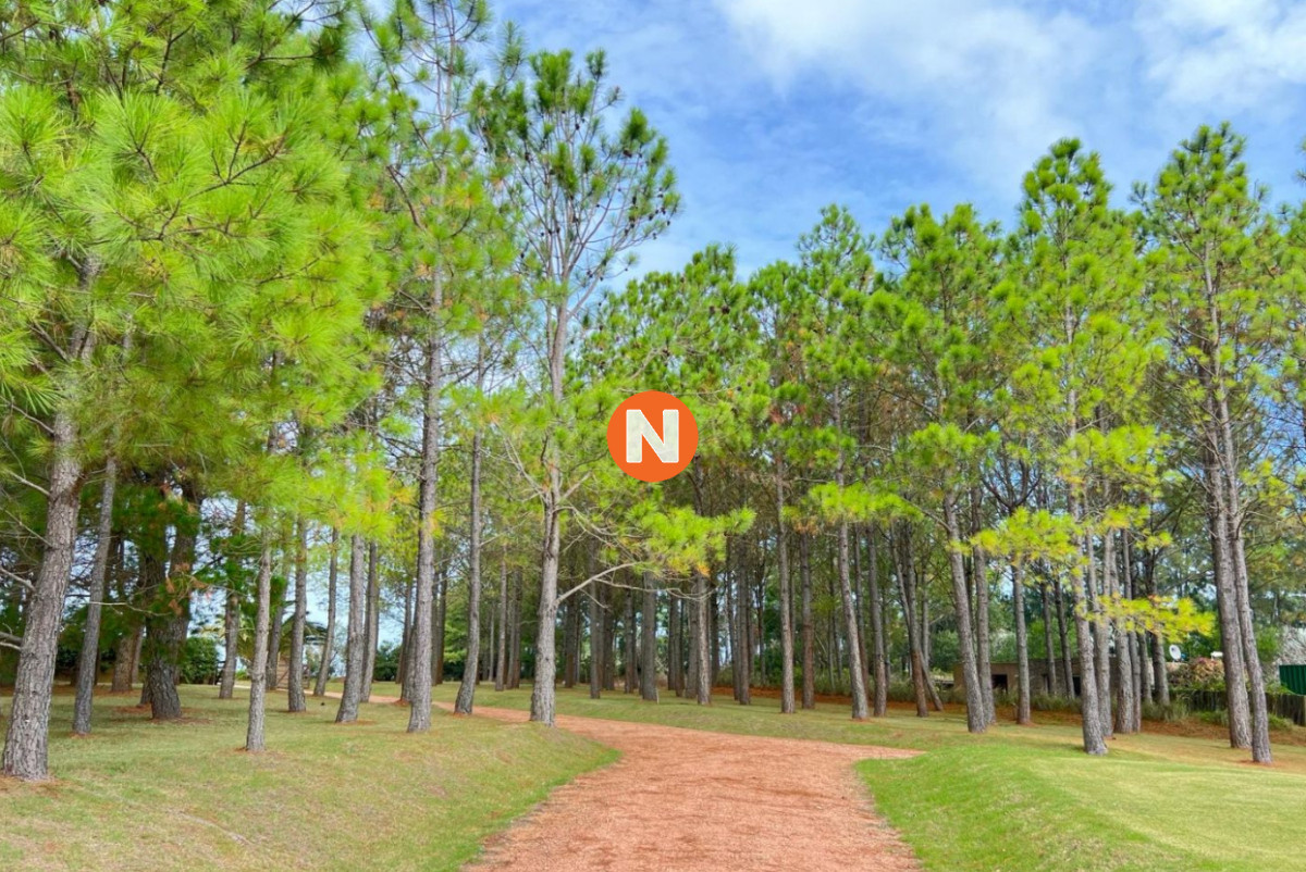 Chacra Ref.223640 - Venta de excepcional chacra en zona de La Barra, cerca del campo de golf. 