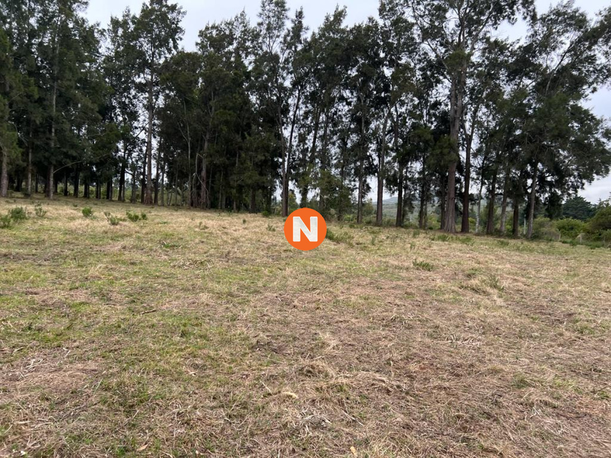 Chacra Ref.220674 - VENTA DE CHACRA EN PIRIAPOLIES CON TAJAMAR IDEAL PARA TODO EL AÑO