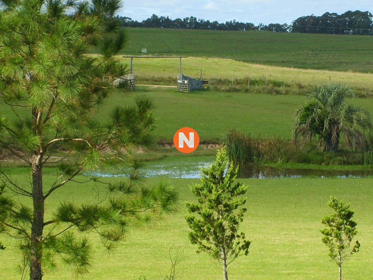 Chacra Ref.212353 - HERMOSA CASA EN VENTA - PUNTA DEL ESTE