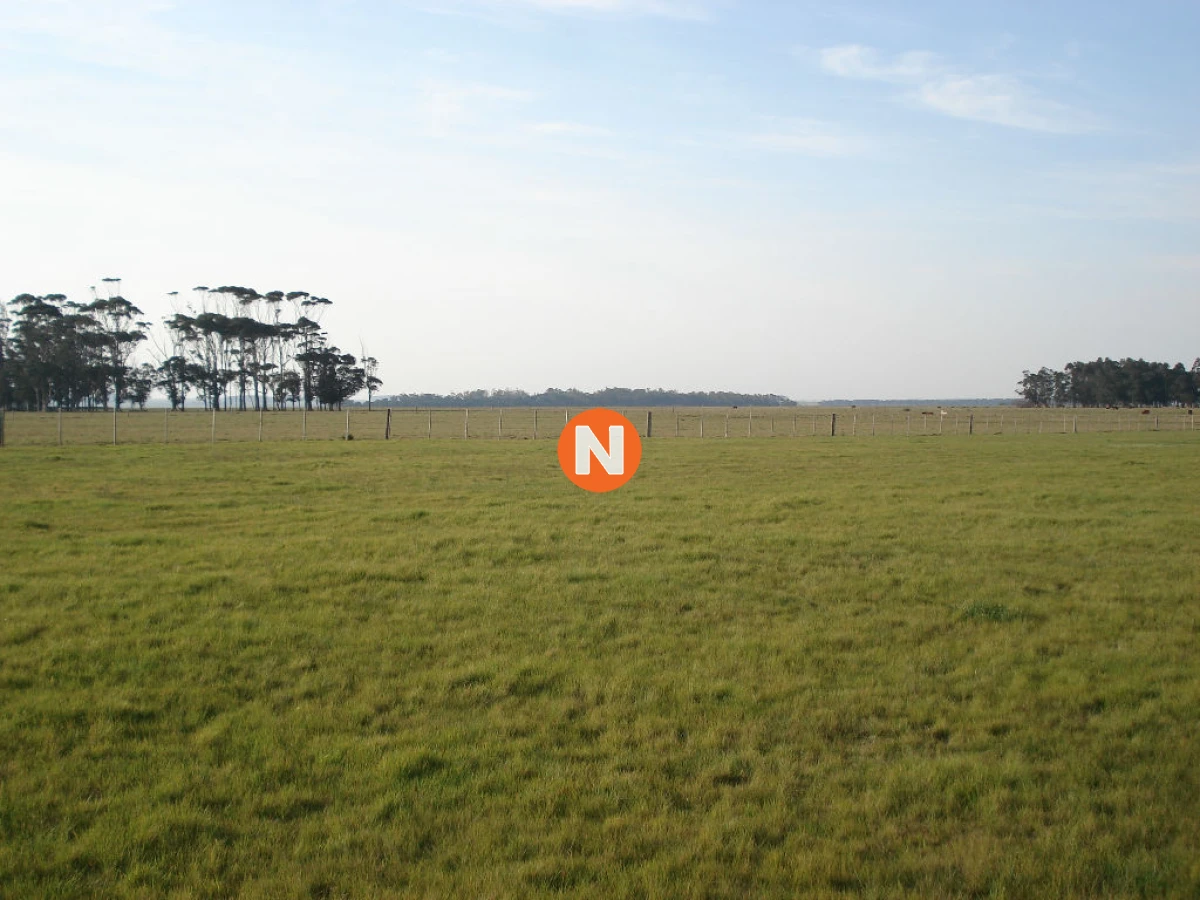 Chacra Ref.212407 - Increíble Chacra en Jose Ignacio, 5 has