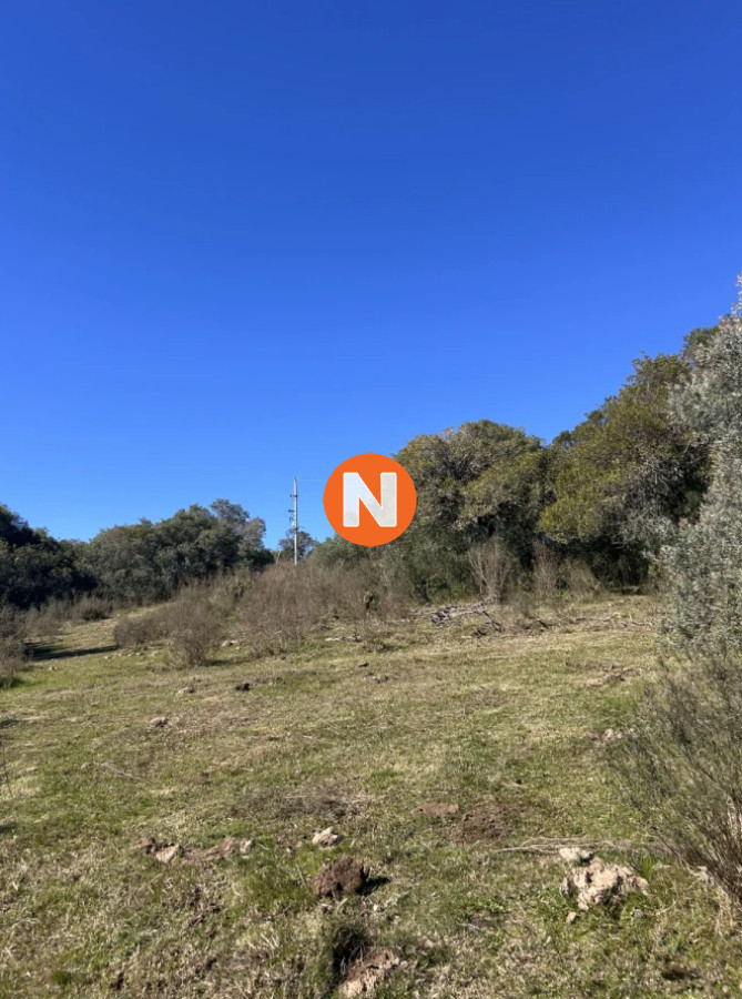 Chacra Ref.223946 - Chacra en Sierra de los Caracoles en venta